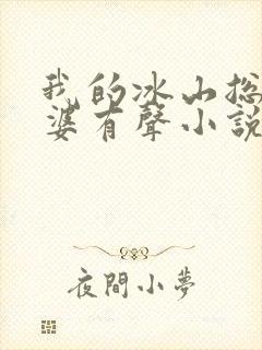 我的冰山总裁老婆有声小说