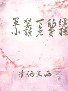 军装下的绕指柔小说免费听书