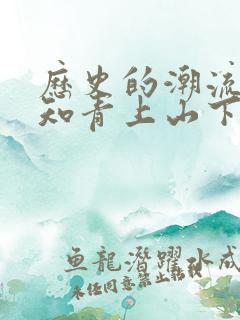 历史的潮流一对知青上山下乡的认识