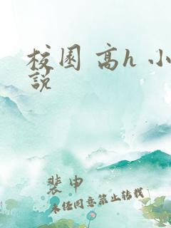校园 高h 小说