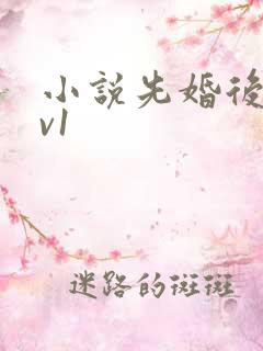 小说先婚后爱1v1