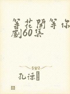 等花开等你归短剧60集