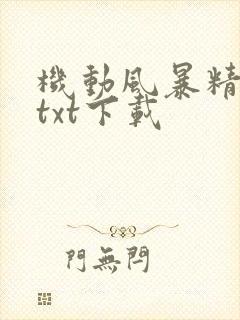 机动风暴精校版txt下载