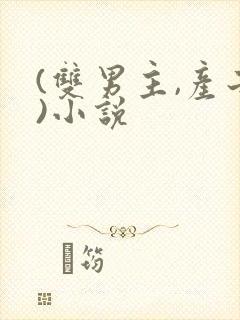 (双男主,产子)小说