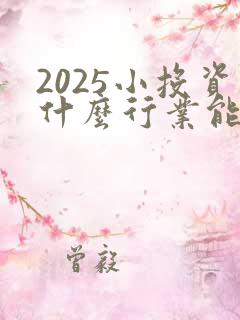 2025小投资什么行业能赚到钱