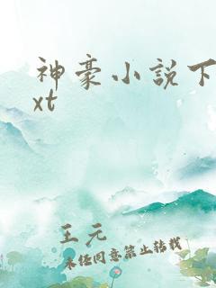 神豪小说下载txt