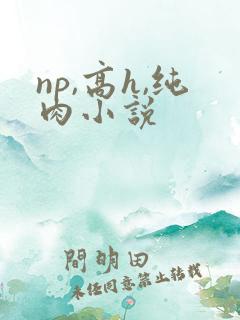 np,高h,纯肉小说