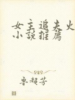 女主追夫火葬场小说推荐