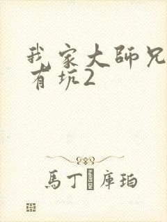 我家大师兄脑子有坑2