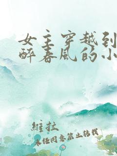 女主穿越到白马醉春风的小说