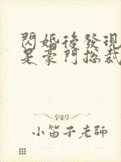 闪婚后发现老公是豪门总裁 全本