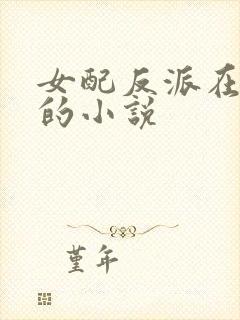 女配反派在一起的小说