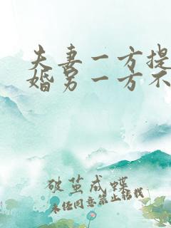 夫妻一方提出离婚另一方不同意怎么办