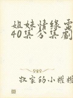 姐妹情缘电视剧40集分集剧情