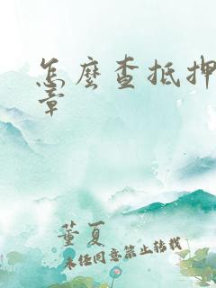 怎么查抵押车违章