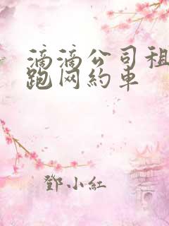 滴滴公司租电车跑网约车