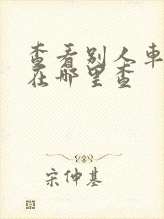 查看别人车违章在哪里查