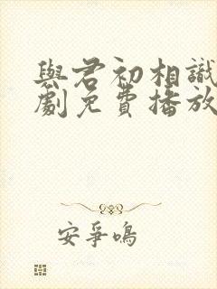 与君初相识电视剧免费播放在线观看