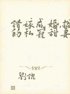 错嫁成婚,总裁的私宠甜妻短剧