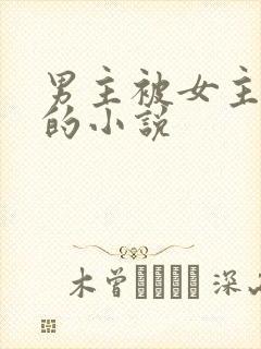 男主被女主囚禁的小说