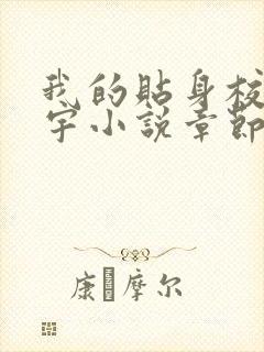 我的贴身校花唐宇小说章节目录