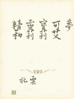 精灵宝可梦小智和莉莉艾