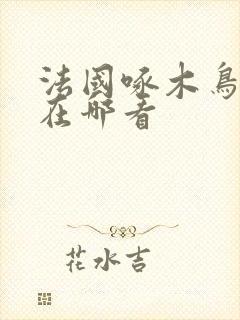 法国啄木鸟电影在哪看