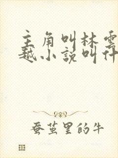 主角叫林云的穿越小说叫什名字