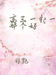 高三一对一辅导哪个好