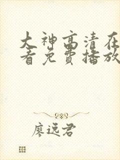 大神高清在线观看免费播放电视剧