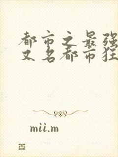 都市之最强狂兵又名都市狂枭