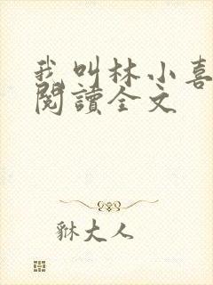 我叫林小喜免费阅读全文