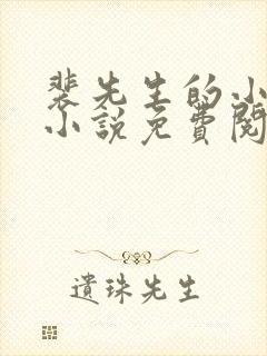 裴先生的小可怜小说免费阅读全文