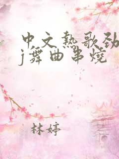 中文热歌劲爆dj舞曲串烧