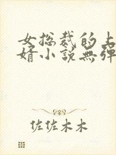 女总裁的上门女婿小说无弹窗