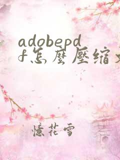 adobepdf怎么压缩文件大小