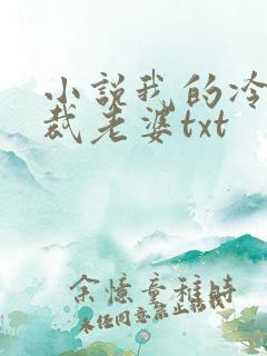 小说我的冷艳总裁老婆txt