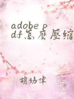adobe pdf怎么压缩大小