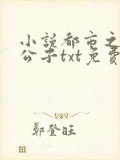 小说都市之极品公子txt免费下载