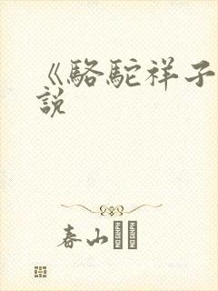 《骆驼祥子》小说