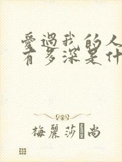 爱过我的人伤我有多深是什么歌