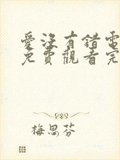 爱没有错电视剧免费观看完整版