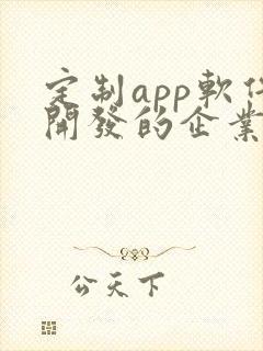 定制app软件开发的企业