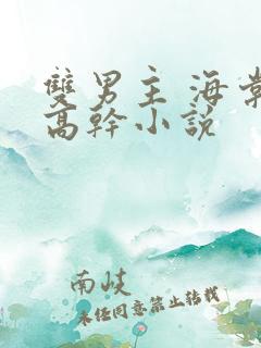 双男主 海棠 高干小说