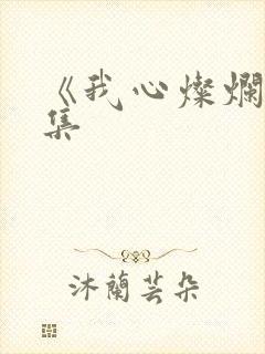 《我心灿烂》续集