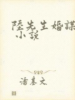 陆先生婚谋已久 小说