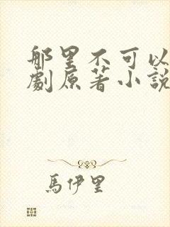 那里不可以广播剧原著小说叫什么