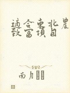 适合东北农村的致富项目