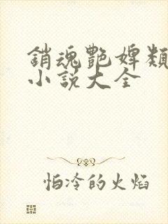 销魂艳婢类似的小说大全