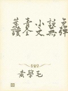 叶青小说免费阅读全文无弹窗